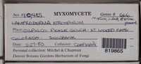 Image Associated With the Occurence